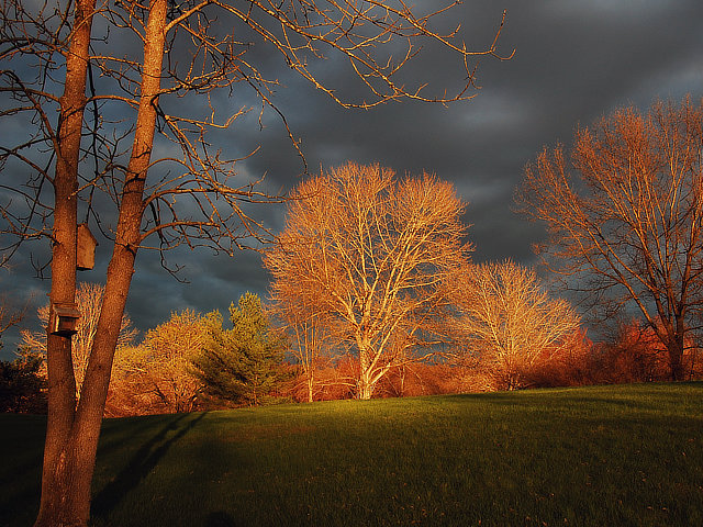 Activities at Brook n Wood Campground